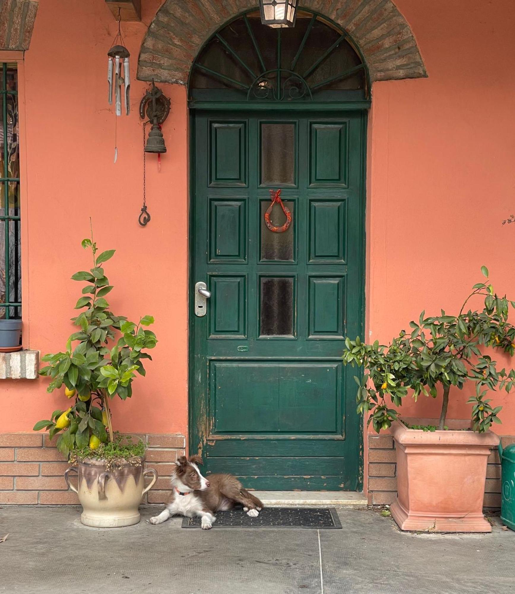 B&B La Cascina Di Alice Castiglione Delle Stiviere Exterior photo